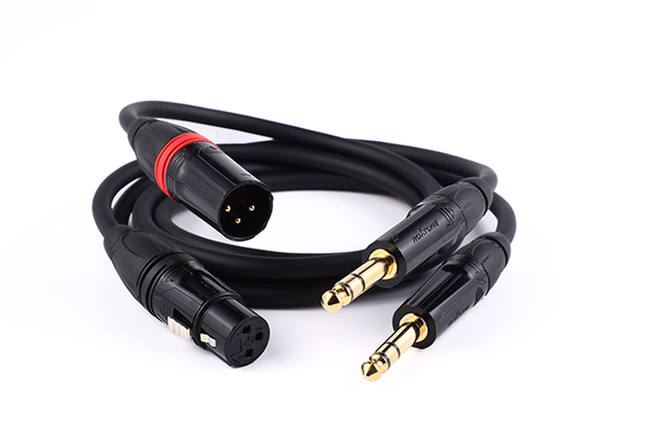 miniDSP Flex - Pocket size 2x4 Digital Audio Processor